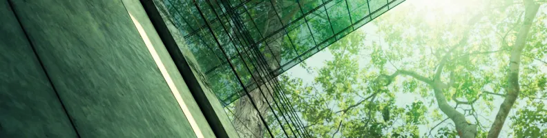 Green Moves: Corporate Sustainability Strategies Transforming Business Operations